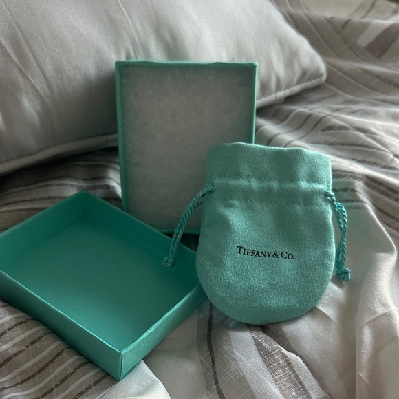 Tiffany & Co. Turquoise Gift Box with Pouch (Authentic) - Picture 3 of 4